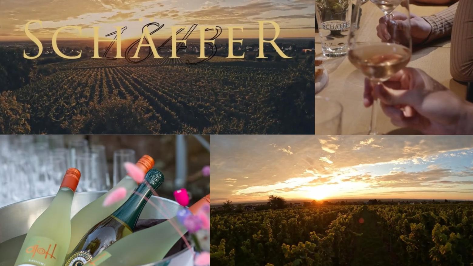 Weinverkostung von Weingut Schaeffer im SILO